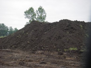 Top Soil